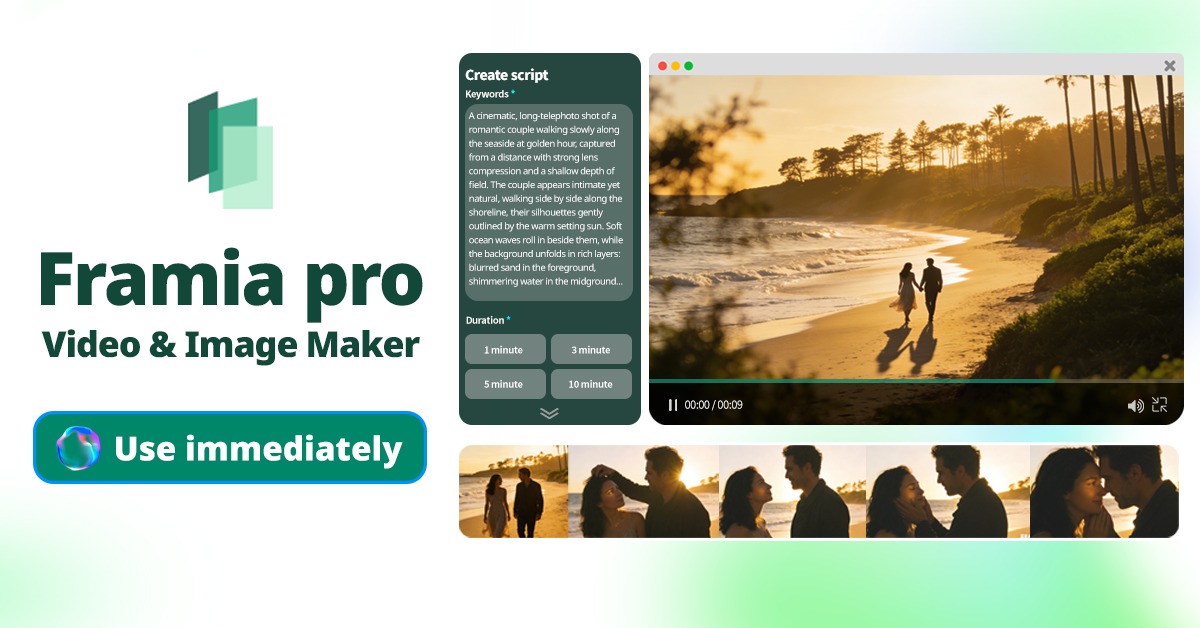 Framia Pro interface
