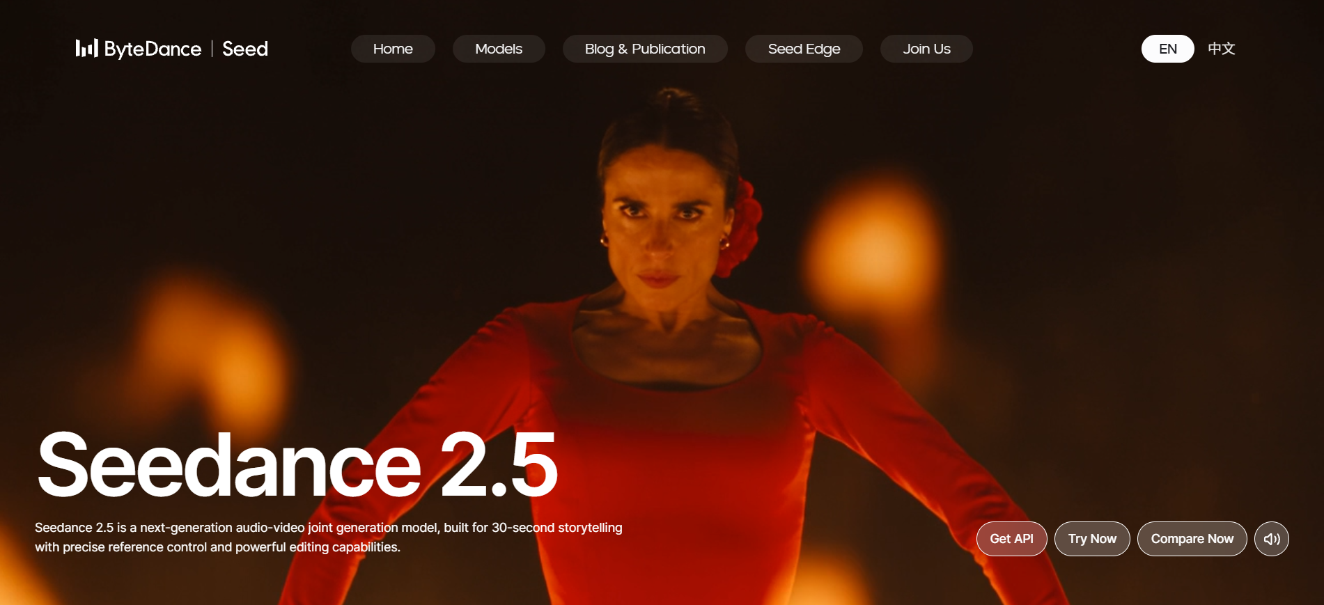 Página de inicio de Seedance 2.5