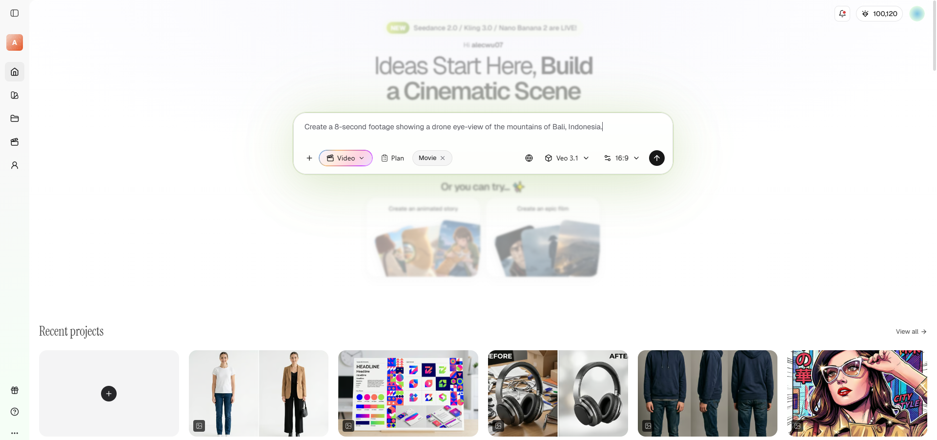 Provide your detailed prompt for video generation