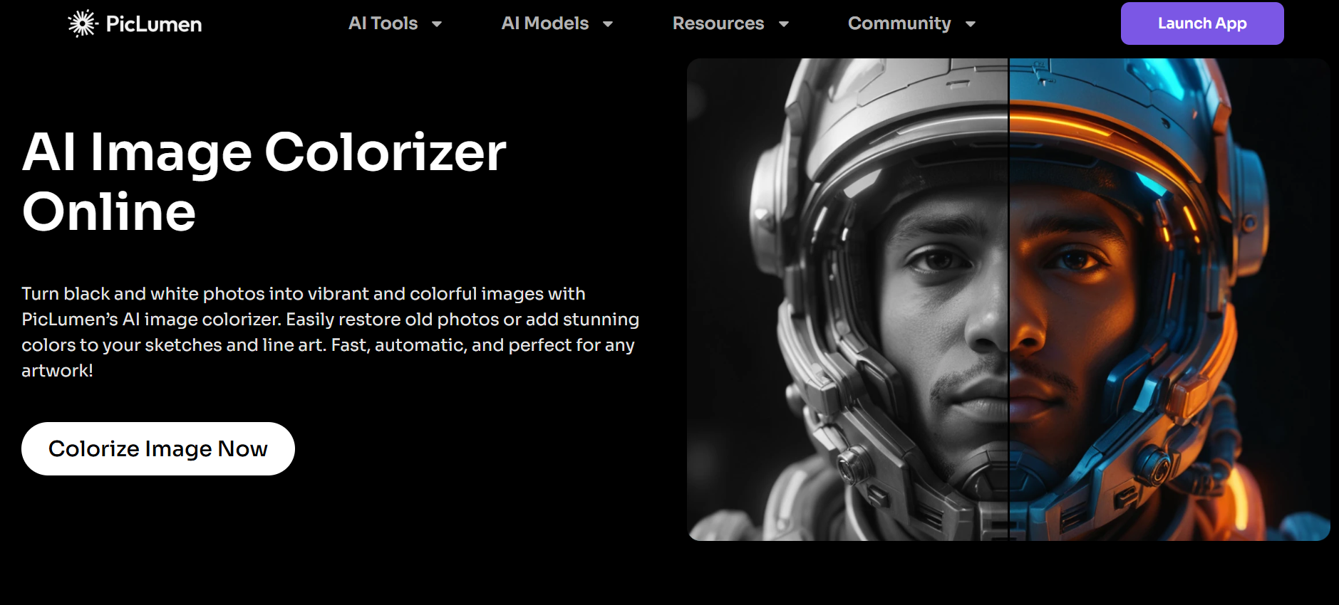 AI colorizer