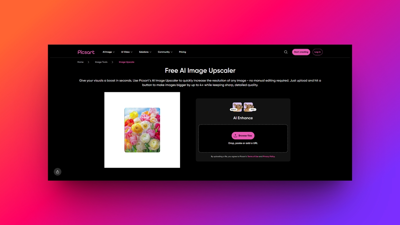 Canva